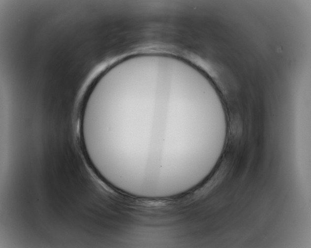 X0000088491462200705221012