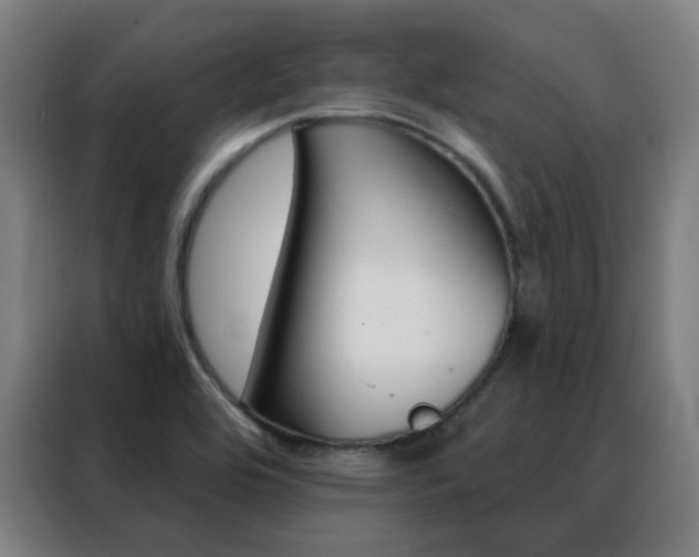 X0000088491464200705221012