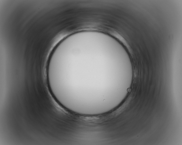 X0000088491466200705221012
