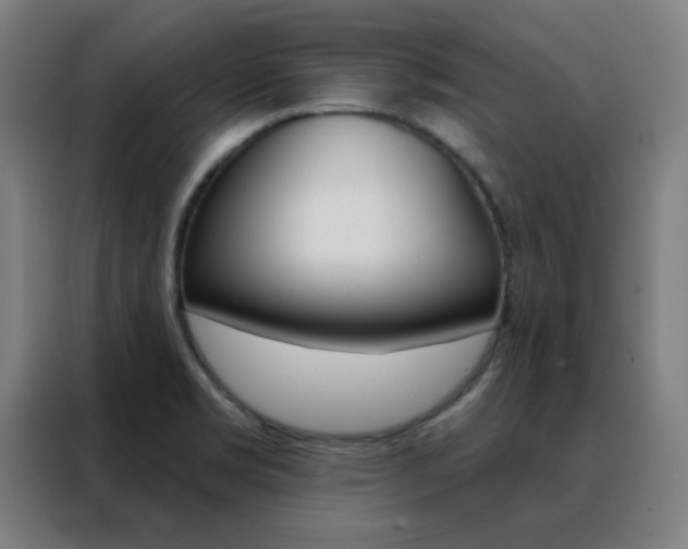 X0000088491469200705221012