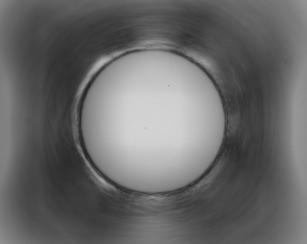 X0000088491470200705221012
