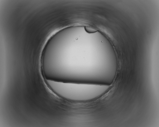 X0000088491471200705221012