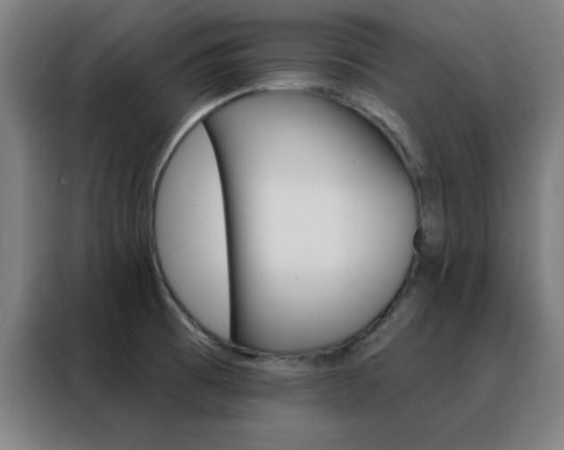 X0000088491473200705221012