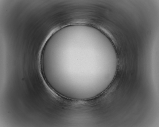 X0000088491475200705221012