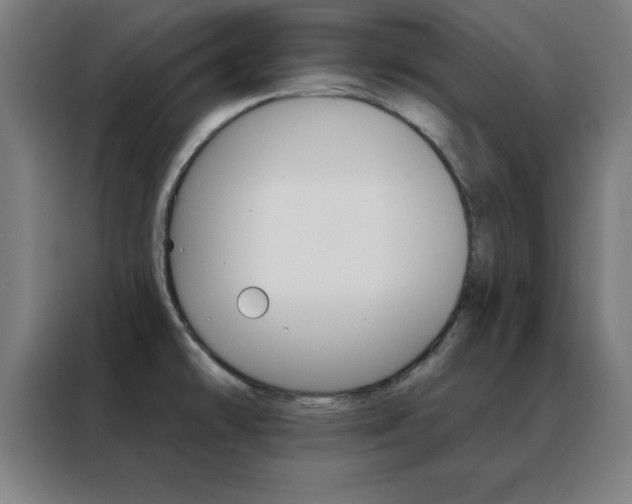 X0000088491478200705221012