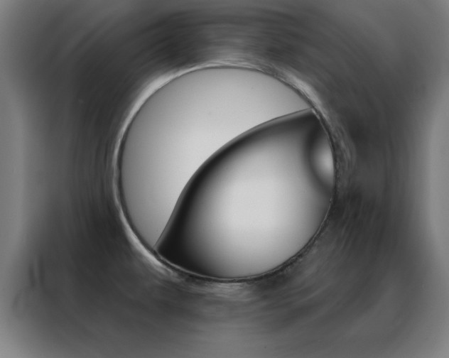 X0000088491479200705221012