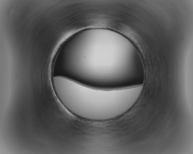 X0000088491480200705221012