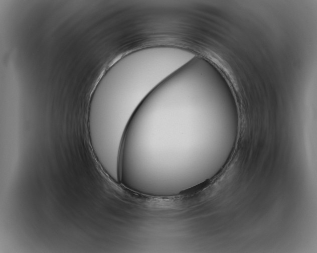 X0000088491481200705221012