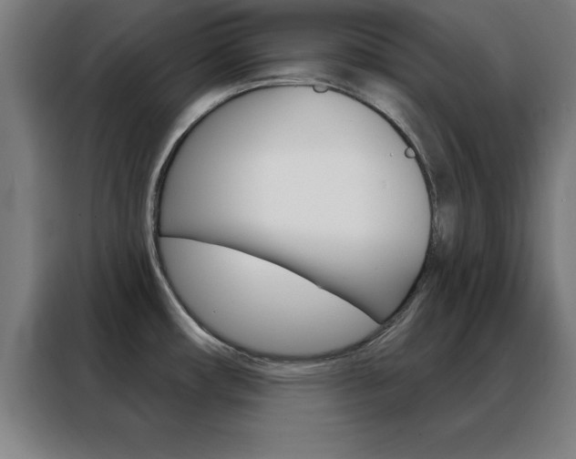 X0000088491482200705221012