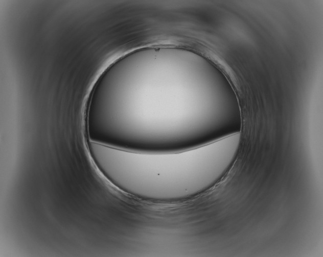 X0000088491483200705221012