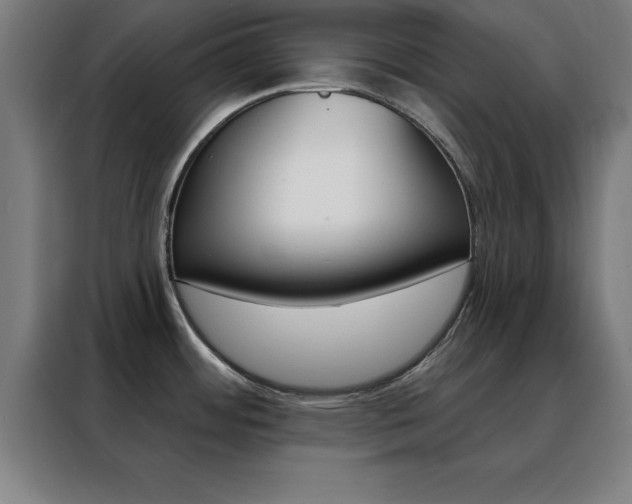 X0000088491484200705221011