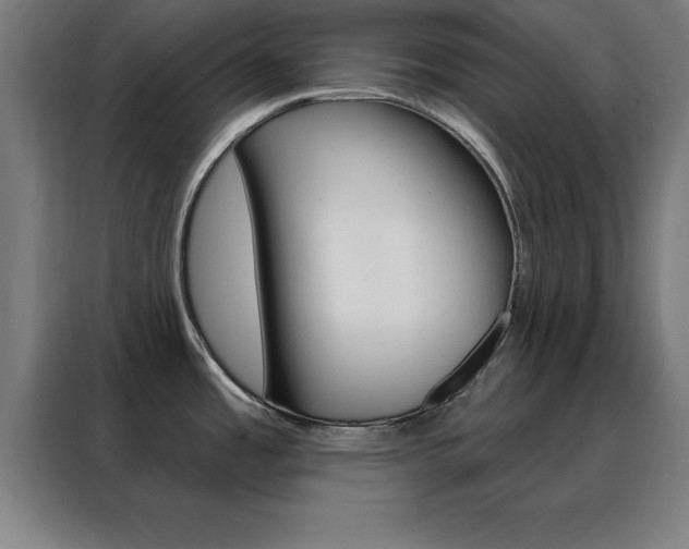 X0000088491485200705221011