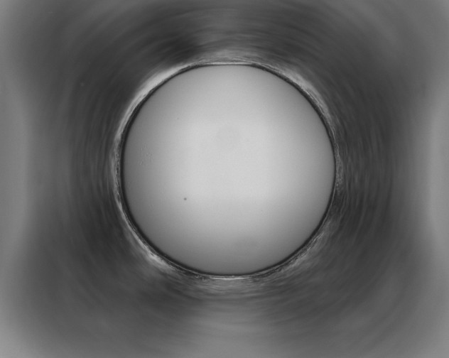 X0000088491486200705221011