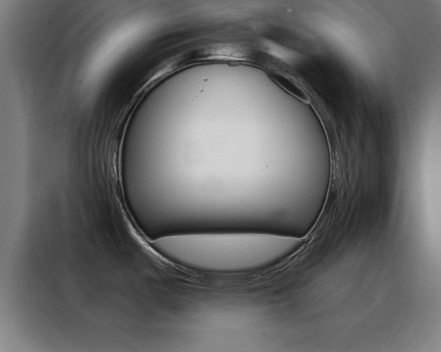 X0000088491487200705221011