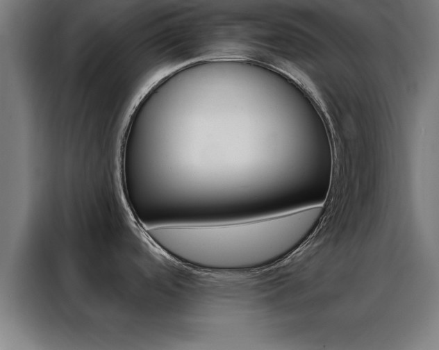X0000088491488200705221011