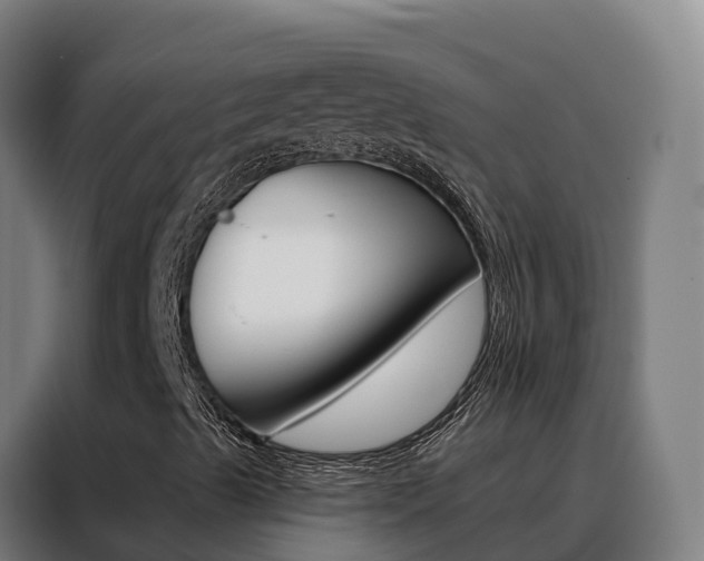 X0000088491489200705221011