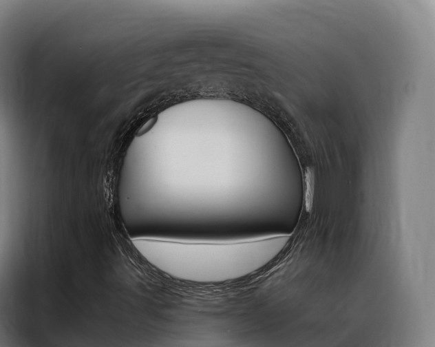 X0000088491491200705221011