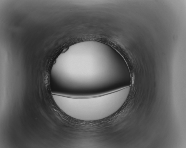 X0000088491492200705221011
