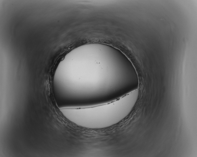 X0000088491493200705221011