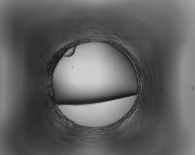 X0000088491494200705221011