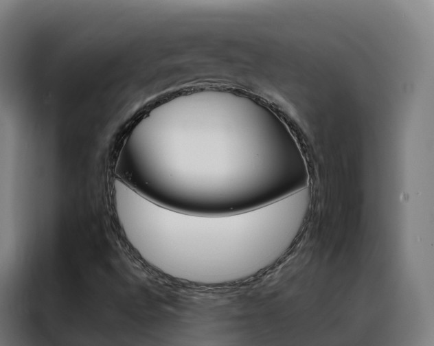X0000088491496200705221011