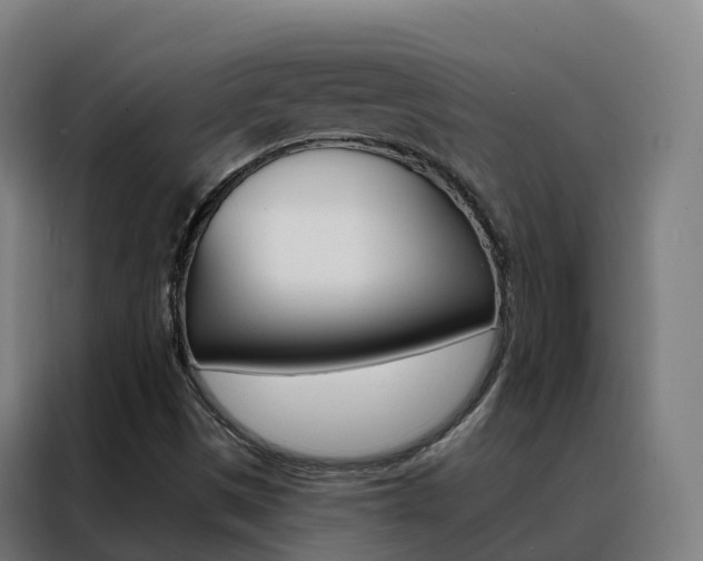 X0000088491497200705221011