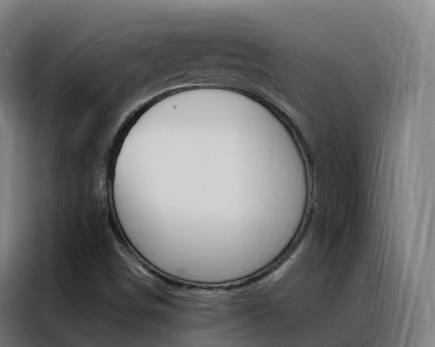 X0000088491498200705221011