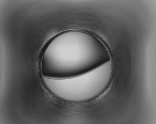 X0000088491501200705221011