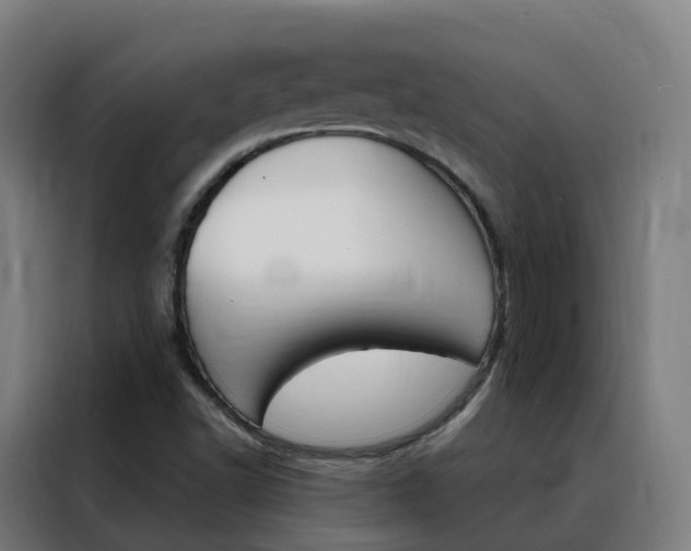 X0000088491502200705221011