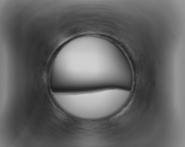 X0000088491505200705221011