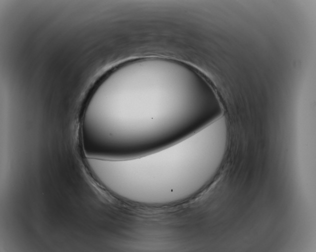 X0000088491507200705221011