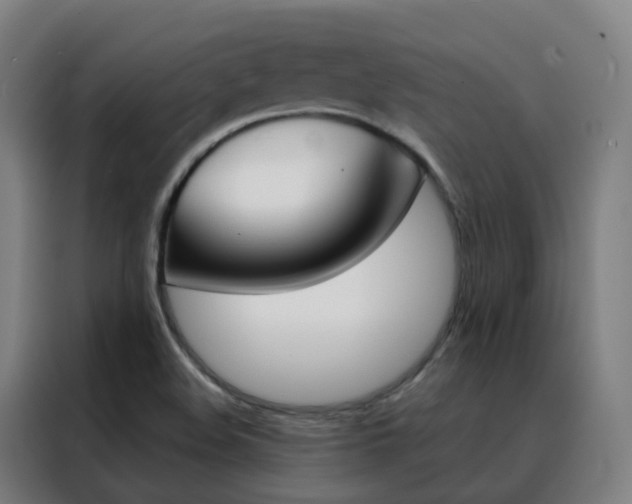 X0000088491508200705221011