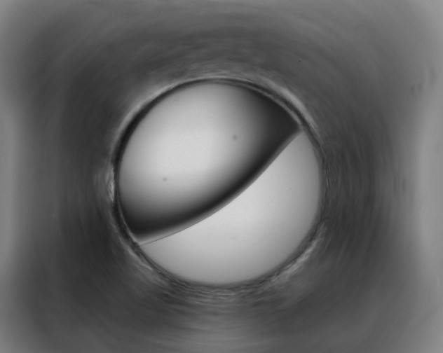 X0000088491509200705221011