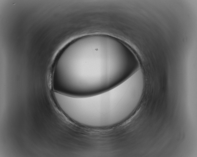 X0000088491510200705221011