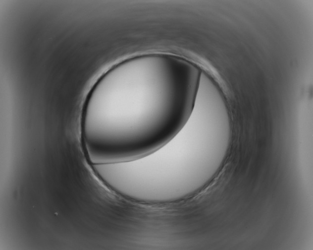 X0000088491512200705221011
