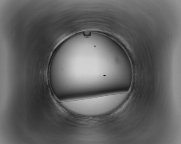 X0000088491513200705221011