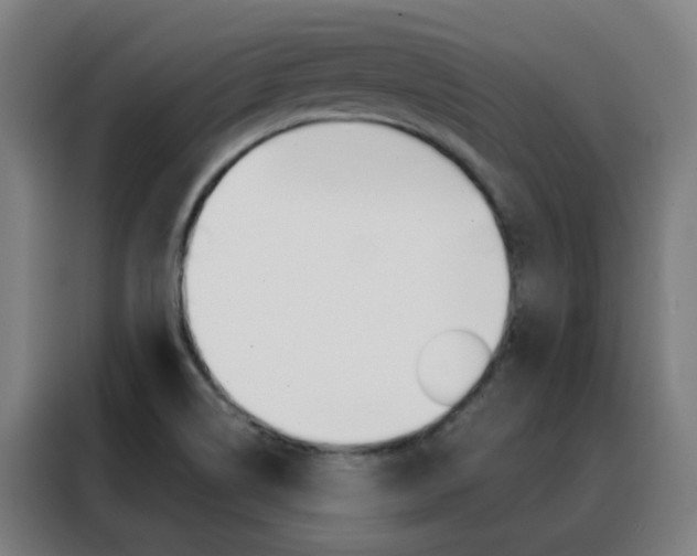X0000088491514200705221011