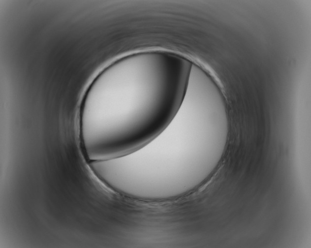 X0000088491516200705221011