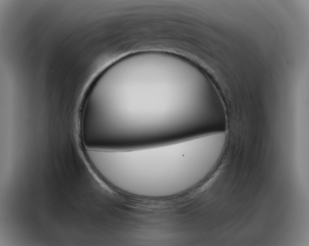 X0000088491517200705221011