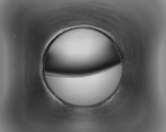 X0000088491518200705221011