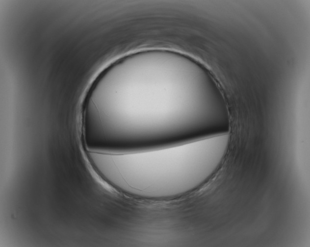 X0000088491519200705221011