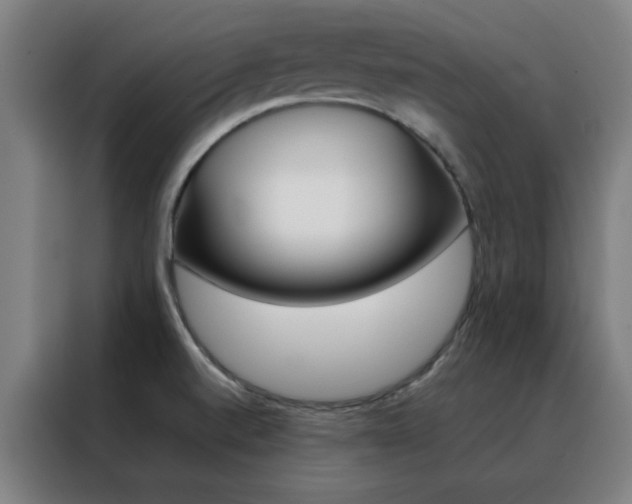 X0000088491520200705221011