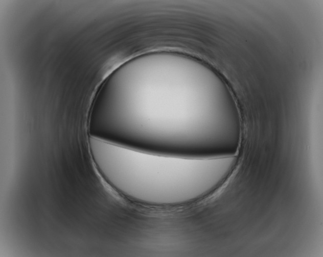 X0000088491521200705221011