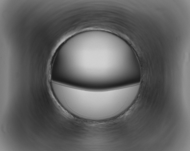 X0000088491522200705221011