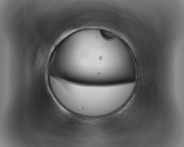 X0000088491525200705221011