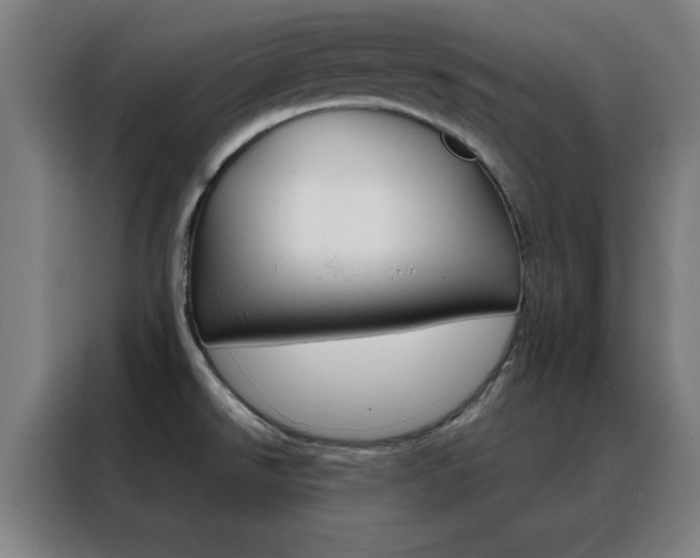 X0000088491526200705221011