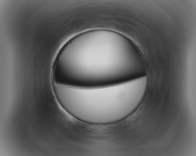 X0000088491527200705221011