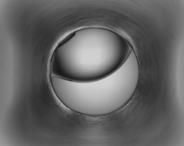 X0000088491528200705221011
