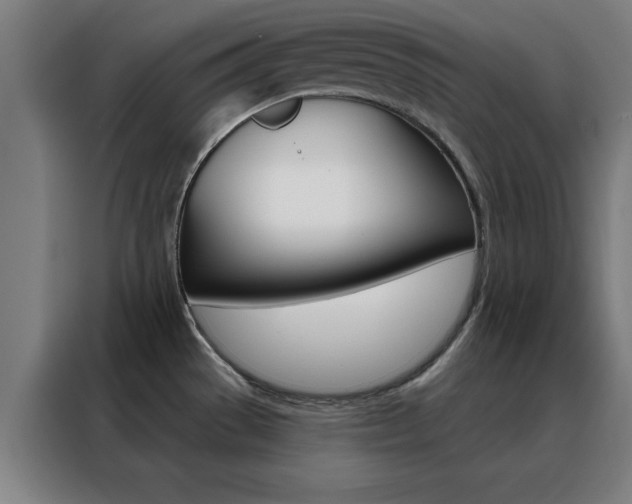 X0000088491529200705221011