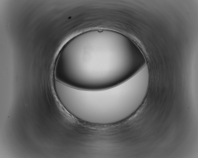 X0000088491530200705221011